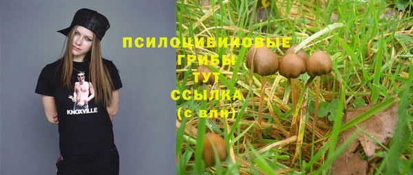 винт Абинск
